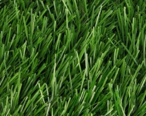 ハイブリッドターフETの表面画像