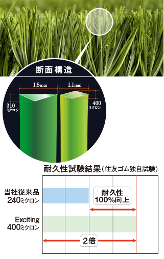 断面構造